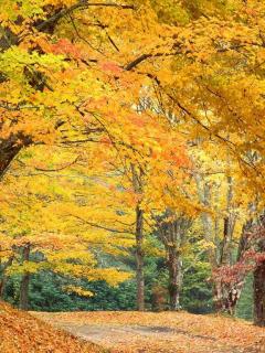 Other Wallpapers 0678